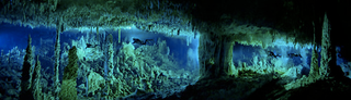 Illustration for article titled Could "blue holes" offer clues about the biology of extraterrestrials?